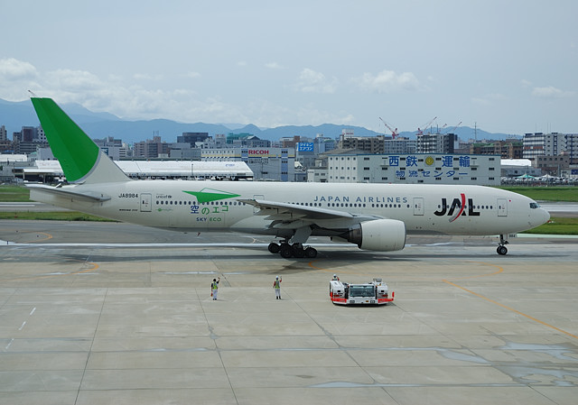 DSC_1016.jpg