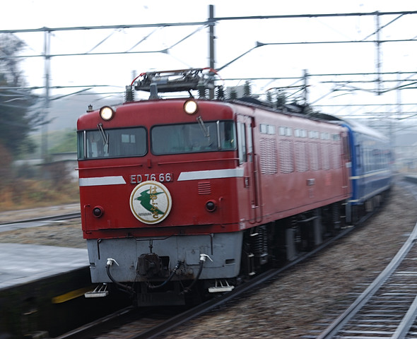 DSC_1690.jpg
