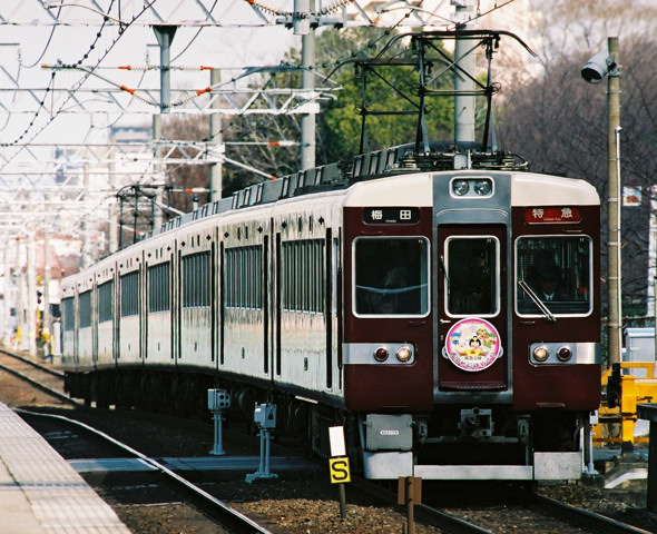 FH020010.jpg