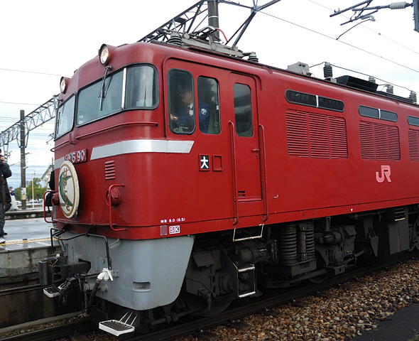 DSC_1952.jpg
