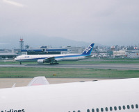 20050508_008a.jpg