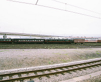 20050508_046a.jpg